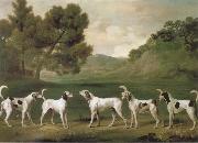 George Stubbs Some Dogs oil painting reproduction